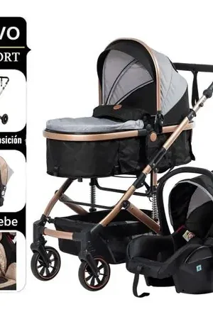 Artigianale Coche Moises de Paseo Comfort con Porta bebe ng